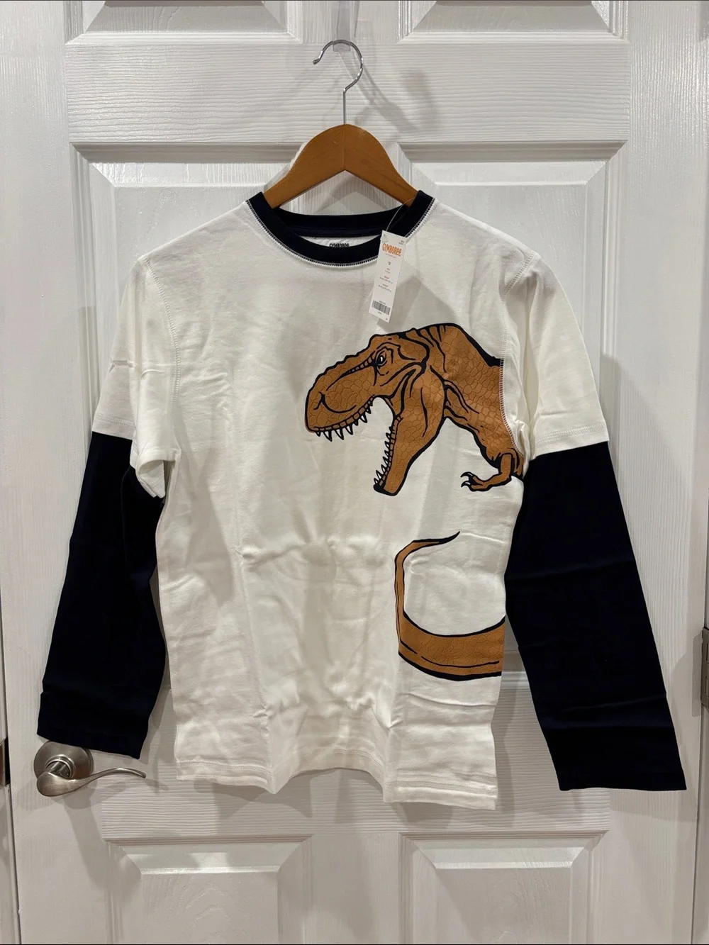 Gymboree White Long Sleeve Tee with Layered Look Sleeves and Dinosaur Graphic